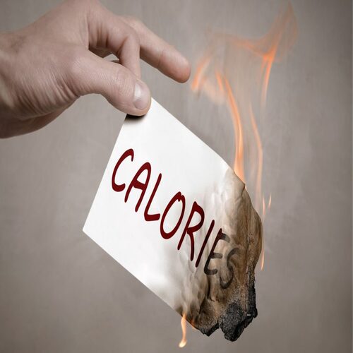 Calories Burnt Predictor
