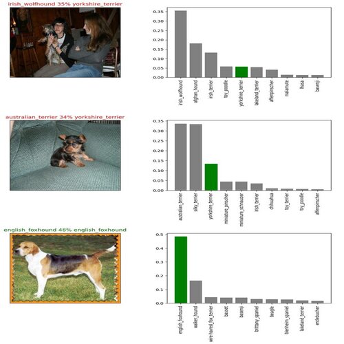 Dog Breed Identification Interface